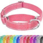 Martingale Dog Collar, Slip Martingale Collar for Dogs with No Buckle, Reflective Pet Trainning Collar for Small Medium Large Dog, Adjustable Heavy Duty Nylon No Pull Slip Collar, XS, Pink