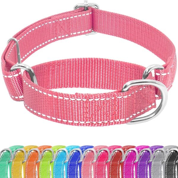 Martingale Dog Collar, Slip Martingale Collar for Dogs with No Buckle, Reflective Pet Trainning Collar for Small Medium Large Dog, Adjustable Heavy Duty Nylon No Pull Slip Collar, XS, Pink