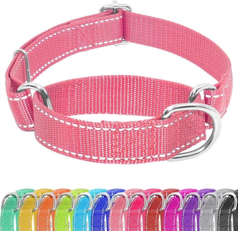 Martingale Dog Collar, Slip Martingale Collar for Dogs with No Buckle, Reflective Pet Trainning Collar for Small Medium Large Dog, Adjustable Heavy Duty Nylon No Pull Slip Collar, XS, Pink