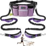 PetAmi Premium Hands Free Dog Leash for 2 Dogs, Adjustable Waist Belt Leash for Dog Walking, Fanny Pack Accessories Bag Dual Bungee Leash for Running, Hiking, Jogging, Biking, Purple