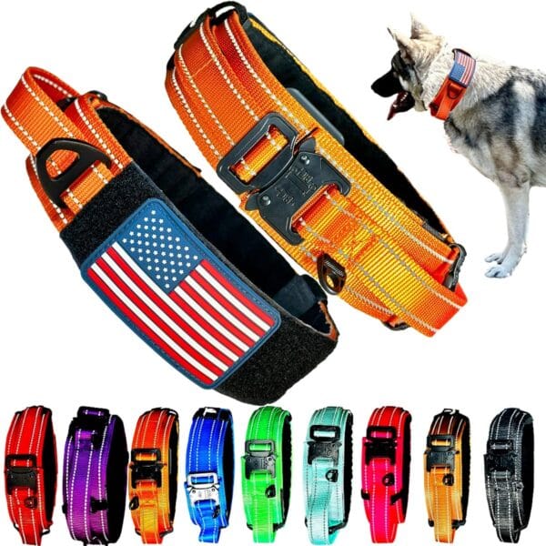 2-Inch Wide Tactical Dog Collar with Control Handle, Adjustable for Medium & Large Dogs, Military Style with Heavy-Duty Metal Buckle, USA Flag Patch & Customizable Name Plate, Training & Everyday Use