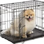 MidWest Homes for Pets 22-Inch Two-Door iCrate Folding Dog Crate with Divider Panel, Leak-Proof Tray & Secure Latches – Metal Wire Kennel for XS Breeds – Portable, Durable & Easy to Assemble