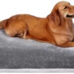 Dog Bed for 150 Pounds Dogs, Super Comfy Large Bed, 47 Inches Orthopedic Sleeping Mattress for XL Dogs, Jumbo Size with Anti Slip Bottom, with Removable and Washable Cover