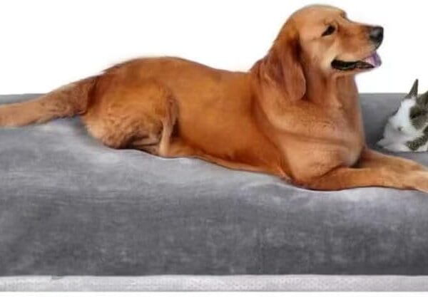 Dog Bed for 150 Pounds Dogs, Super Comfy Large Bed, 47 Inches Orthopedic Sleeping Mattress for XL Dogs, Jumbo Size with Anti Slip Bottom, with Removable and Washable Cover