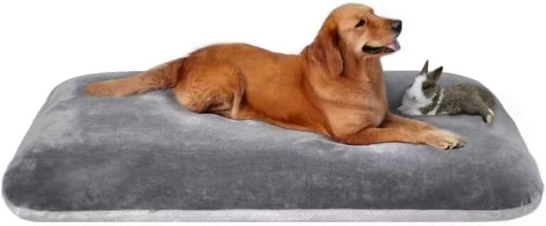 Dog Bed for 150 Pounds Dogs, Super Comfy Large Bed, 47 Inches Orthopedic Sleeping Mattress for XL Dogs, Jumbo Size with Anti Slip Bottom, with Removable and Washable Cover