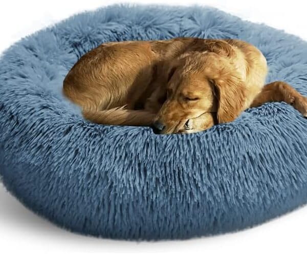 Whiskers & Friends Dog Bed, Round Fluffy Dog Beds for Small Dogs Washable, Calming Donut Pet Bed for Medium Dogs - Up to 45 Pounds