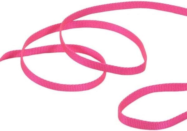 Coastal Pet Single-Ply Dog Leash - Sturdy Pet Leash - Comfortable & Stylish - Resists Fraying - Vibrant & Fade-Resistant Color - Neon Pink, 3/8" x 6'