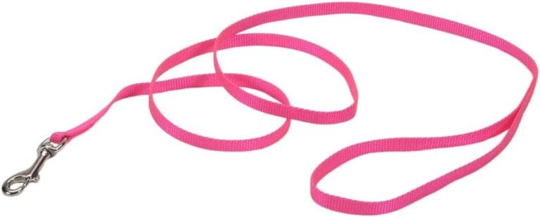 Coastal Pet Single-Ply Dog Leash - Sturdy Pet Leash - Comfortable & Stylish - Resists Fraying - Vibrant & Fade-Resistant Color - Neon Pink, 3/8" x 6'