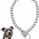 Silver Small Dog Choke Chain Collar Stainless Steel Dogs Choker Link Training Collar Pet P Slip Puppy Martingale Collars for XXS XS Medium Large Big XL Breed Dogs XS