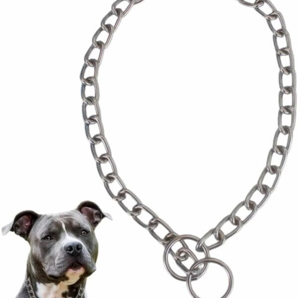 Silver Small Dog Choke Chain Collar Stainless Steel Dogs Choker Link Training Collar Pet P Slip Puppy Martingale Collars for XXS XS Medium Large Big XL Breed Dogs XS