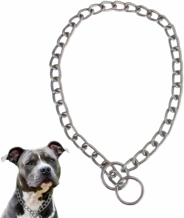 Silver Small Dog Choke Chain Collar Stainless Steel Dogs Choker Link Training Collar Pet P Slip Puppy Martingale Collars for XXS XS Medium Large Big XL Breed Dogs XS
