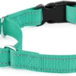 Plutus Pet Reflective Martingale Collar with Buckle - Durable and Adjustable Training Collar for No Pulling, Dog Choker Collar for Small Medium Large Dogs, Teal, L