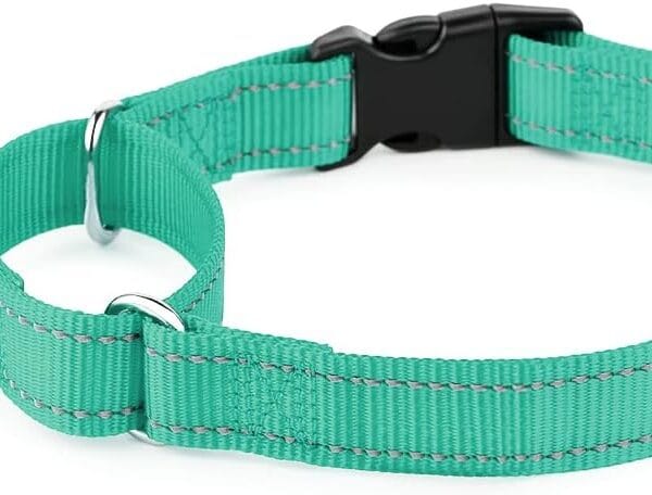 Plutus Pet Reflective Martingale Collar with Buckle - Durable and Adjustable Training Collar for No Pulling, Dog Choker Collar for Small Medium Large Dogs, Teal, L