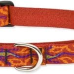 LupinePet Originals 1" Go Go Gecko 15-22" Martingale Collar for Medium and Larger Dogs