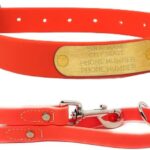 Regal Dog Products Medium Orange with Custom Engraved Waterproof Dog Collar and Leash Set | Waterproof Dog Collar with Double Buckle & D Ring - 5'ft Leash | Matching Dog Collar and Leash for Dogs