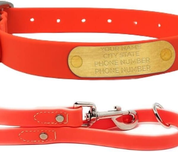 Regal Dog Products Medium Orange with Custom Engraved Waterproof Dog Collar and Leash Set | Waterproof Dog Collar with Double Buckle & D Ring - 5'ft Leash | Matching Dog Collar and Leash for Dogs