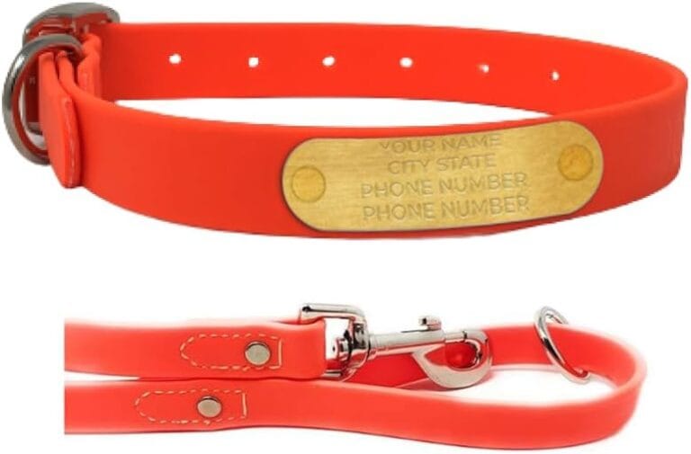 Regal Dog Products Medium Orange with Custom Engraved Waterproof Dog Collar and Leash Set | Waterproof Dog Collar with Double Buckle & D Ring - 5'ft Leash | Matching Dog Collar and Leash for Dogs