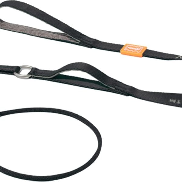 Howgo Dog Slip Lead Dog Leash, Training Lead, No-Pull Slip Leash and Collar, Heavy Duty & Durable Nylon, Padded Handle, for All Breeds (Black, 5FT)