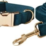 JAY D.L Dog Collar and Leash SetSoft & Comfy Velvet Dog Collars with Heavy Duty Metal Buckle and Matching Lead Adjustable for Small Medium Large Dogs (Small, Peacock Green)