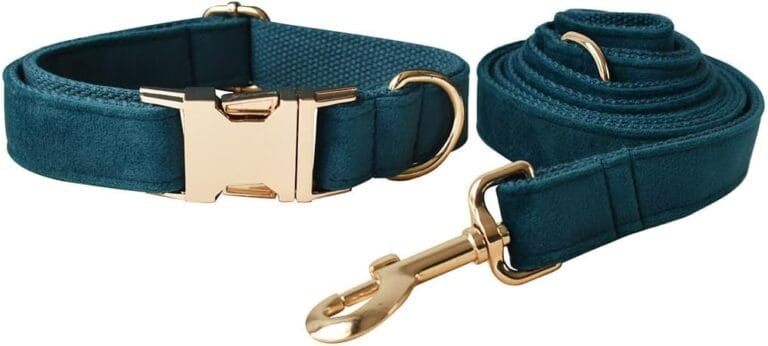 JAY D.L Dog Collar and Leash SetSoft & Comfy Velvet Dog Collars with Heavy Duty Metal Buckle and Matching Lead Adjustable for Small Medium Large Dogs (Small, Peacock Green)