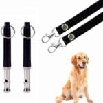 Dog Whistle to Stop Barking, Adjustable Pitch Ultrasonic Training Tool Silent Bark Control for Dogs-2 Free Lanyard Strap with Pack of 2 PCS Pet Whistle