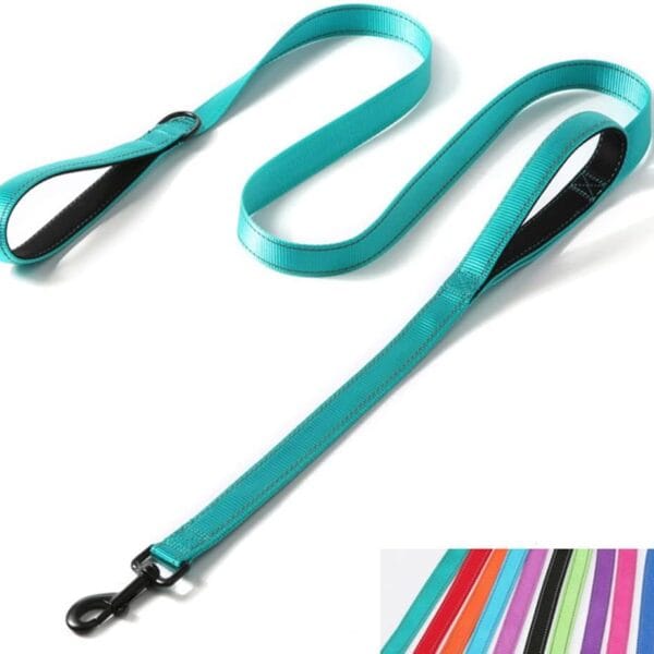 Double Handle Dog Leash 6ft, Reflective Nylon with Padded for Extra Control Outside Durable Training Lead for Small Medium Large Breed Pet Dogs, 1-Inch Width, Teal