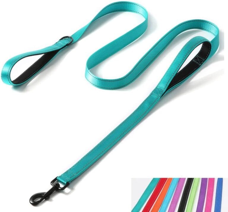 Double Handle Dog Leash 6ft, Reflective Nylon with Padded for Extra Control Outside Durable Training Lead for Small Medium Large Breed Pet Dogs, 1-Inch Width, Teal