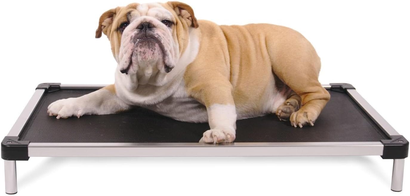 K9 Ballistics Chew Proof Elevated Outdoor Cooling Cot Bed for Medium Dogs - Virtually Indestructible, Preassembled, Withstands Aggressive Chewers - M, Black Mesh K9 Ballistics Chew Proof Elevated Outdoor Cooling Cot Bed for Medium Dogs - Virtually Indestructible, Preassembled, Withstands Aggressive Chewers - M, Black Mesh