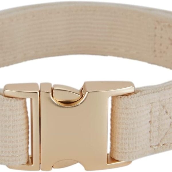 Soft Corduroy Fibric Dog Collar with High Grade Metal Buckle, for Medium Dogs.(White,Medium:12-19")