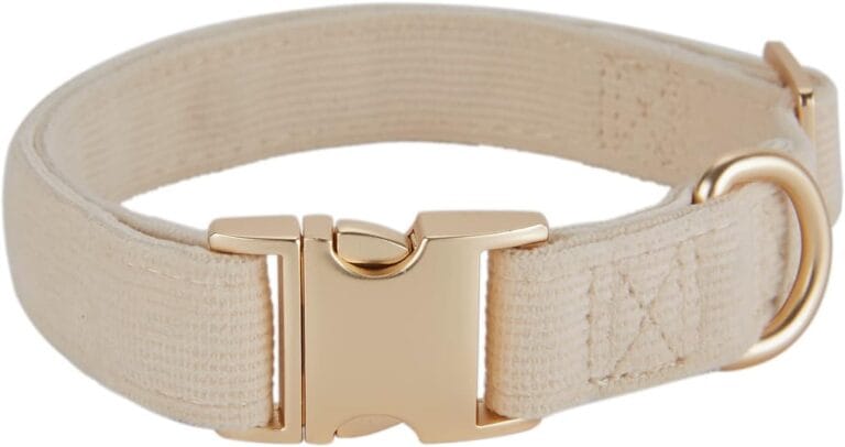 Soft Corduroy Fibric Dog Collar with High Grade Metal Buckle, for Medium Dogs.(White,Medium:12-19")