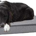 Barkbox Orthopedic Dog Bed with Memory Foam, Premium Comfort for Dogs and Puppies, Dog Beds for Joint Relief and Restful Sleep, Durable and Easy to Clean - Grey, Medium