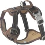 OUT'N WILD Quality No-Pull Dog Harness with 2 Leash Clips. Adjustable Soft Padded Reflective No-Choke Pet Oxford Vest, Easy Control Handle, Premium Transparent Buckles and Perl Nickel Hardware:Brown/M