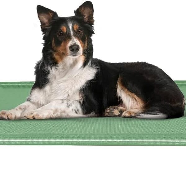 Acrimet Cooling Elevated Pet Dog Bed, Washable and Breathable Mesh Cot, Stainless Steel Frame, Indoor & Outdoor Use, fits Dogs up to 110 lbs (Size: 40 x 24), Green, 1 Unit