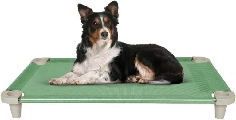 Acrimet Cooling Elevated Pet Dog Bed, Washable and Breathable Mesh Cot, Stainless Steel Frame, Indoor & Outdoor Use, fits Dogs up to 110 lbs (Size: 40 x 24), Green, 1 Unit