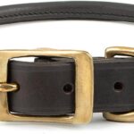 Jeffers Pet Rolled Leather Dog Collar, Chestnut Brown, Soft Adjustable Pet Collar with Solid Brass Hardware, Safe & Stylish for Small Medium Large Dogs, Prevents Fur Matting - 1" W x 25" L