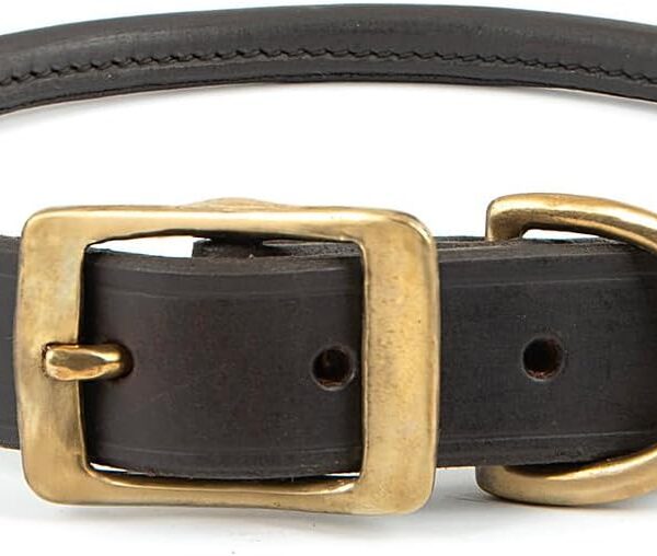 Jeffers Pet Rolled Leather Dog Collar, Chestnut Brown, Soft Adjustable Pet Collar with Solid Brass Hardware, Safe & Stylish for Small Medium Large Dogs, Prevents Fur Matting - 1" W x 25" L