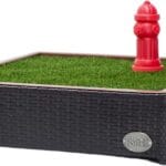 Porch Potty Artificial Grass Potty Pads for Dogs - Small Size 16x16x6 Reusable Potty Training Pad - Washable Pee Pads for Dogs - Unique Design - Instant Drainage -Quick Absorb - 2x2 Feet Grass Size