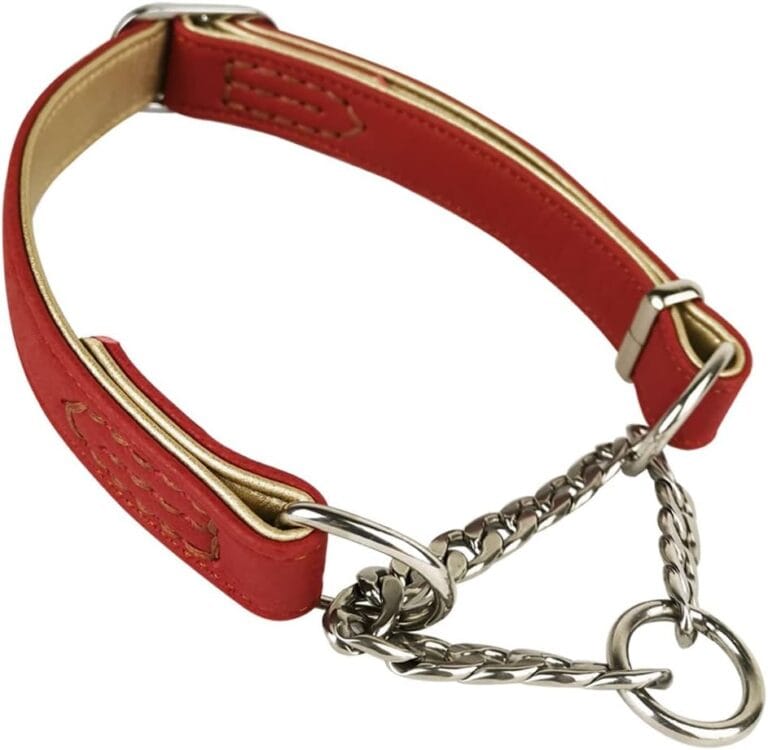 JiangYanus Martingale Collar for Dogs, Leather Martingale Dog Collar with Half-Check Stainless Steel Chain Anti-Escape No Pull Choke Dog Training Collar for Small Medium Large Dogs