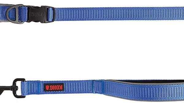 KONG Reflective Shock Absorbing Hands-Free Bungee Dog Leash 6' (Blue)