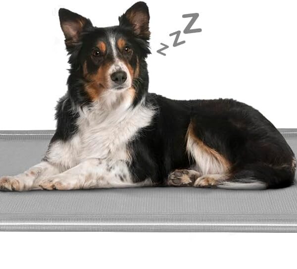 Acrimet Cooling Elevated Pet Dog Bed, Washable and Breathable Mesh Cot, Stainless Steel Frame, Indoor & Outdoor Use, fits Dogs up to 110 lbs (Size: 40 x 24), Gray, 1 Unit