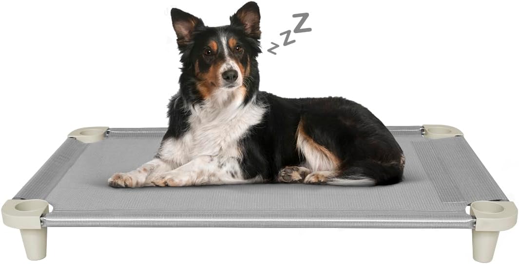 Acrimet Cooling Elevated Pet Dog Bed, Washable and Breathable Mesh Cot, Stainless Steel Frame, Indoor & Outdoor Use, fits Dogs up to 110 lbs (Size: 40 x 24), Gray, 1 Unit Acrimet Cooling Elevated Pet Dog Bed, Washable and Breathable Mesh Cot, Stainless Steel Frame, Indoor & Outdoor Use, fits Dogs up to 110 lbs (Size: 40 x 24), Gray, 1 Unit