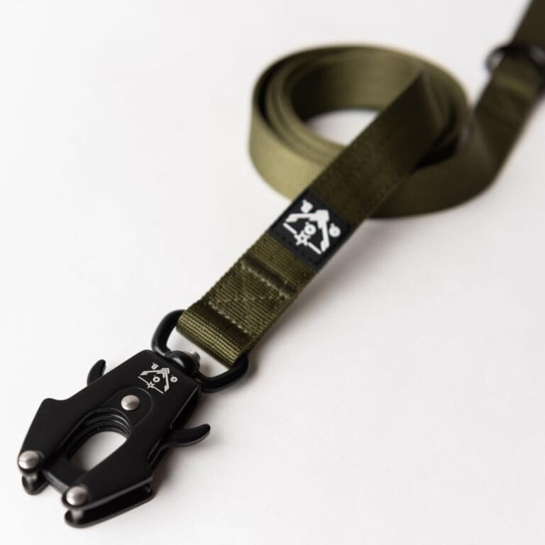 Operation Good Boy Tactical Dog Leash  5FT Heavy Duty Military-Grade Nylon with Quick Release Aviation Aluminum Clip & 360 Swivel  Training Leash for Medium and Large Dogs (Green)