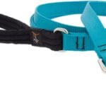 Lupine Padded Handle Dog Leash 3/4" Wide Aqua 6-Foot Long
