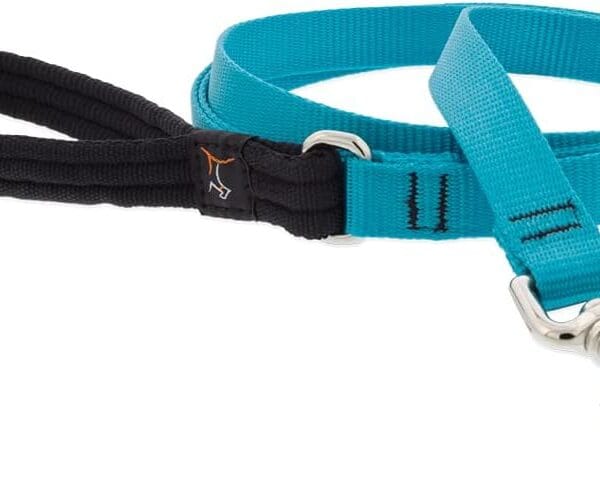 Lupine Padded Handle Dog Leash 3/4" Wide Aqua 6-Foot Long