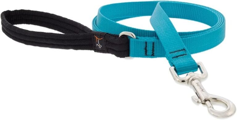 Lupine Padded Handle Dog Leash 3/4" Wide Aqua 6-Foot Long