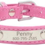 THAIN Rhinestones Personalized Dog Cat Collar Bling Diamond with Engraved Stainless Steel Nameplate for Small Medium Large Dogs (XS, Pink)