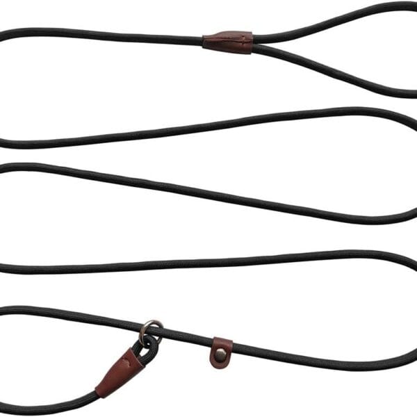 BTINESFUL 7ft Slip Lead Dog Leash, Strong Nylon Rope Leash, 1/4" Dog Training Lead for Small Medium Dogs, 14+ Colors (1/4" * 7 FT, Black)