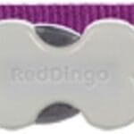 Red Dingo Designer Dog Collar, Medium, Daisy Chain Purple