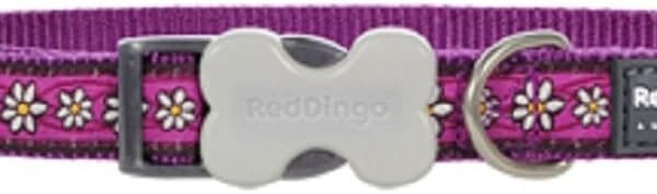 Red Dingo Designer Dog Collar, Medium, Daisy Chain Purple