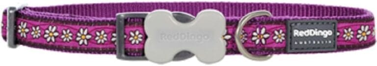 Red Dingo Designer Dog Collar, Medium, Daisy Chain Purple